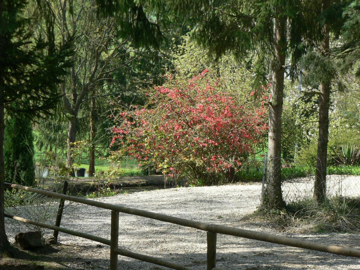 Etangs Du Moulin Hotel Suzy Стая снимка